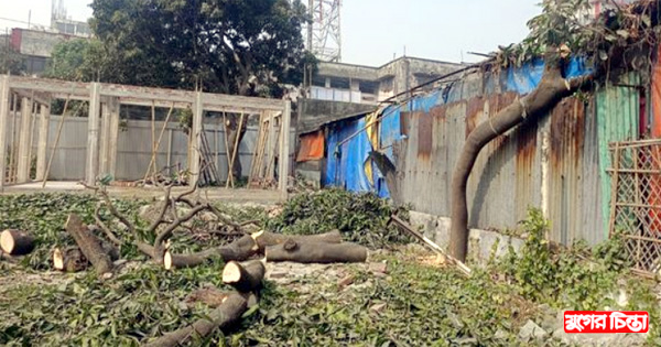 রেলের গাছ কাটলো কর্মচারী&nbsp;ট্রাস্ট, রেল পুলিশ নিশ্চুপ