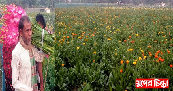 সাবদীতে ফুল চাষীদের দুর্দিন