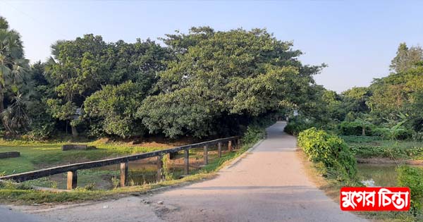 থমথমে কায়েতপাড়া, পুরুষ শূন্য নাওড়া