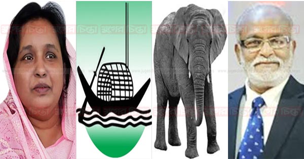 আইভীর নৌকা, তৈমুর নিলেন হাতি