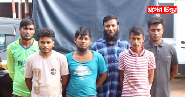 ডিম বোঝাই পিকআপ ভ্যানে ডাকাতির সময় গ্রেপ্তার ৬