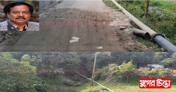প্রশাসনকে বৃদ্ধাঙ্গুলি দেখিয়ে চেয়ারম্যান দেলোয়ারের শেল্টারে অবৈধ