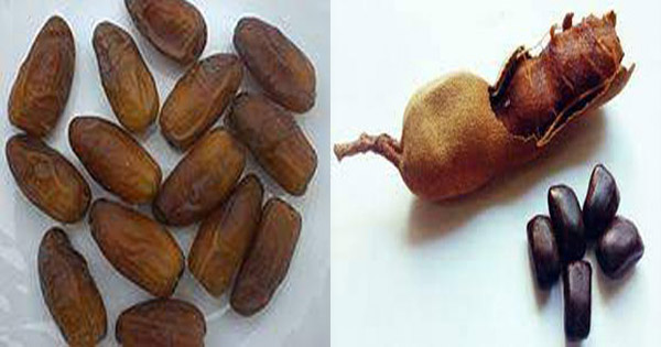 ভাষার মাস : কথকতা  খেজুর ও তেঁতুল বৃত্তান্ত
