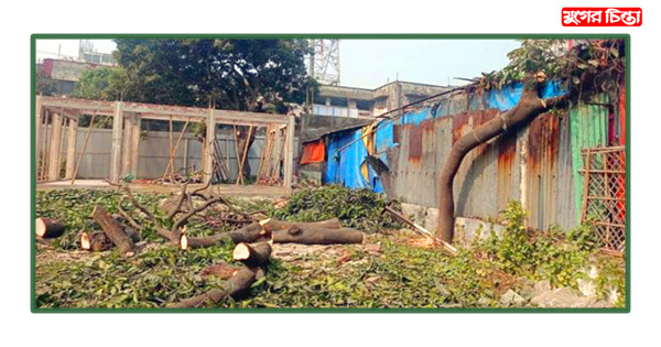 রেলের গাছ কাটলো কর্মচারী ট্রাস্ট, রেল পুলিশ নিশ্চুপ