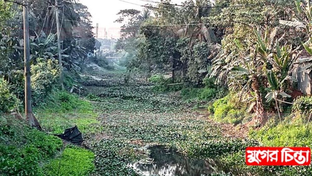 বন্দরের খালগুলো অবৈধ দখলে অস্তিত্ব বিলীনের শঙ্কায়