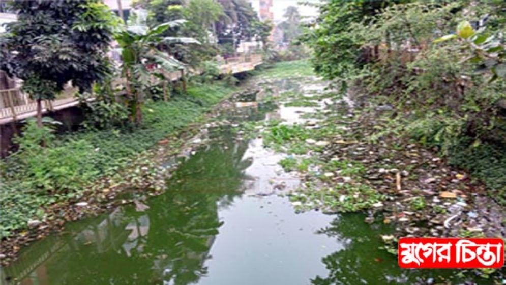 ময়লার ডাস্টবিনে পরিণত হচ্ছে বাবুরাইল লেক