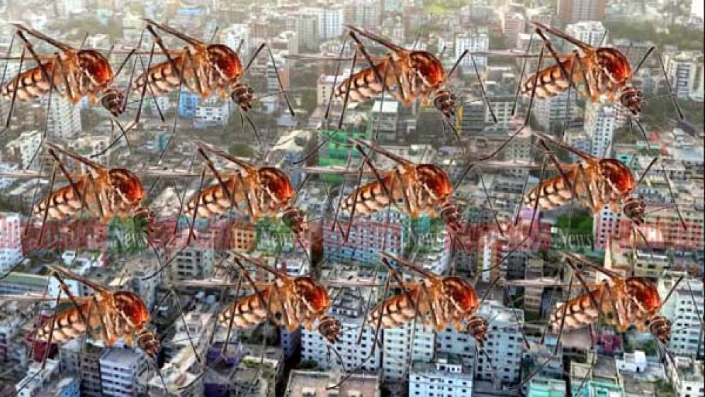 আসছে বর্ষায় ডেঙ্গু নিয়ে শঙ্কায় মানুষ, চান কার্যকর ব্যবস্থা