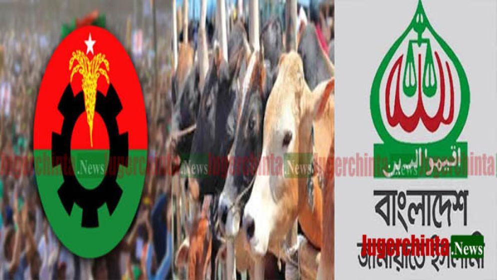 বিএনপি-জামায়াতের টক্কর এবার পশুর হাটে